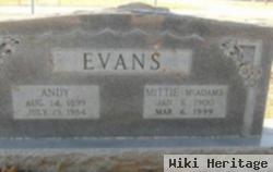 Mittie Elise Mcadams Evans