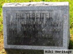 Clifford Z. Hiltebeitel