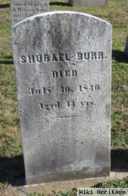 Shubael Burr