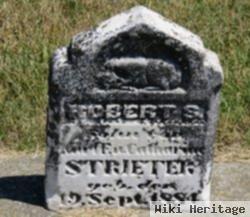 Robert S Strieter