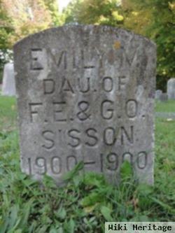 Emily M Sisson