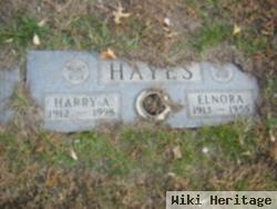 Elnora Hayes