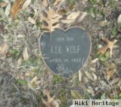 Lee Wolf