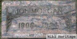 Joe E. Morgan