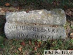 Julius Belknap