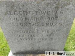 Albert T Wells