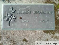 Albert Grosland