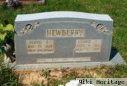 Minerva Elizabeth "nervie" Weaver Newberry