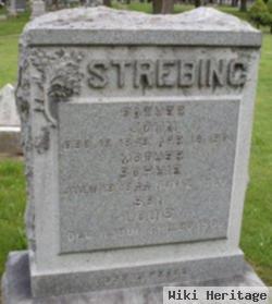 Louis Strebing