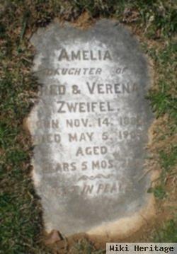 Amelia Zweifel