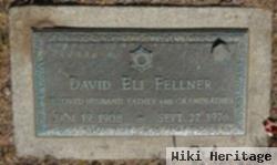 David Eli Fellner