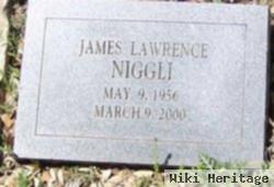 James Lawrence Niggli