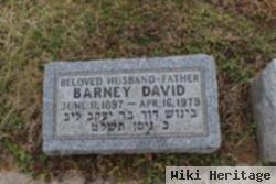 Barney David Shapiro