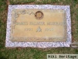 James Palmer Murray