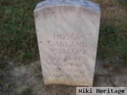 Hosea Garland Williams