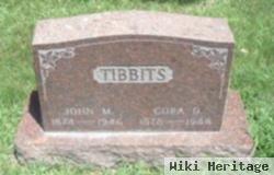 John M Tibbits