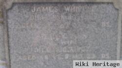 James Whipple