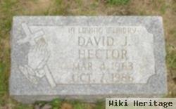 David J Hector