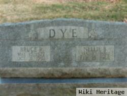 Bruce R Dye