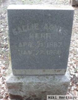 Sallie Agnes Kerr