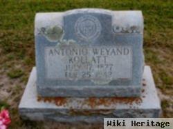 Antonio Weyand Kollatt