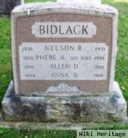 Nelson R. Bidlack