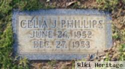 Celia J Phillips