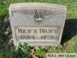 Milica Divich