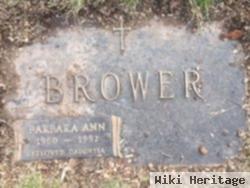 Barbara Ann Brower