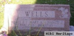 Willis E. Wells