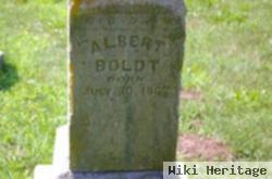 Albert Boldt