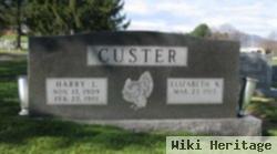 Harry L. Custer