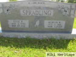 Effie R. Dulaney Spradling