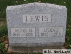 Lydia Jane Davis Lewis