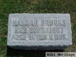 Hannah Smith Brooks