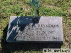 Raymond Lamar Reynolds