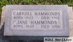 Cynthia Jane "jane" Gulley Hammons