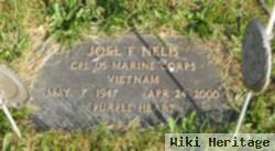 Joel Franklin Nelis