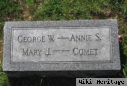 Ann Eliza "annie" Shreaves Berry