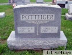 Harvey P Potteiger