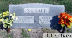 Henry Wise Slimp