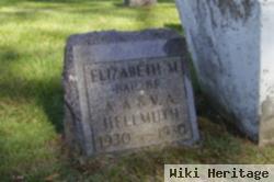 Elizabeth M Hellmuth