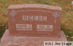 David J Reese