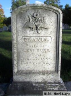 Urania Johnson Burr