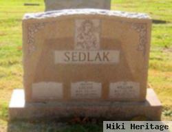 William P Sedlak