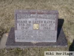 Diane M Sauer Katka