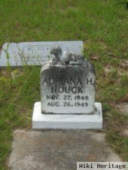 Adriana H. Houck