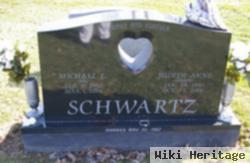 Michael E Schwartz