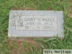 Gary W Hoge