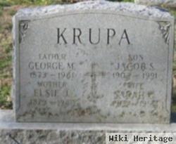 Jacob S Krupa